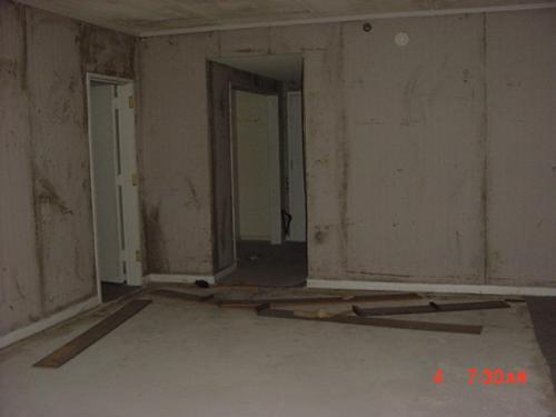 12.jpg (15137 bytes)