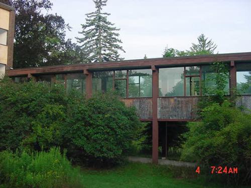 13.jpg (35776 bytes)