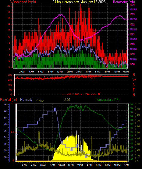 24 Hour Graph for Day 19