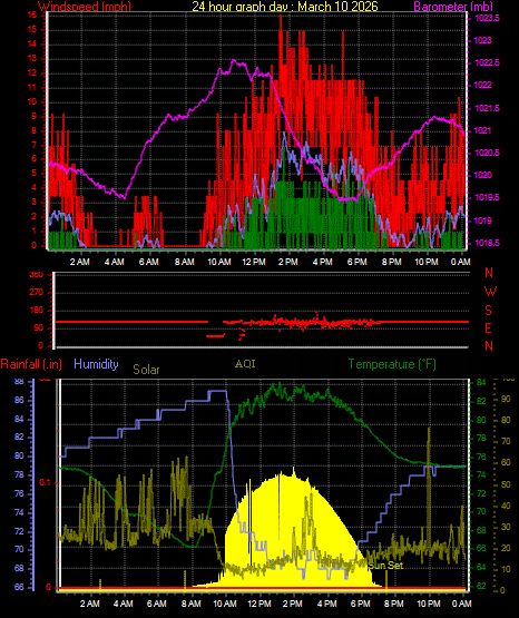 24 Hour Graph for Day 10
